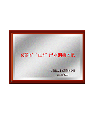 安徽省“115”产业创新团队