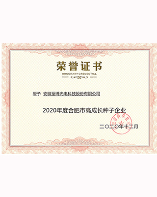 2020年度合肥市高成长种子企业