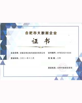 2021年度合肥大数据企业