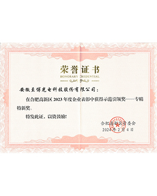 2023年合肥高新区专精特新奖